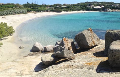 corsica isola di cavallo